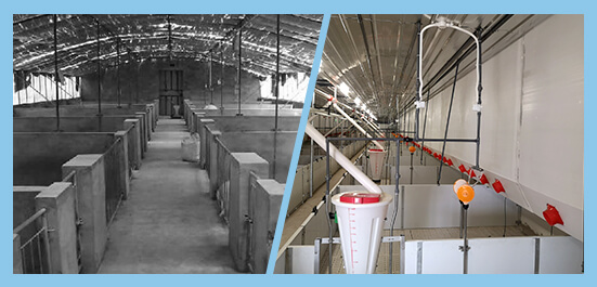 HJC黄金城·(中国区)集团官方网站